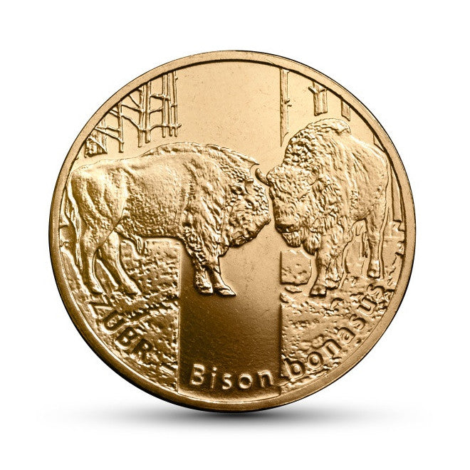 2 zł 2013 - Zwierzęta świata – żubr