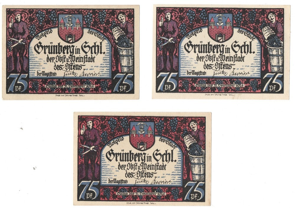 Banknoty zastępcze (notgeldy), Zielona Góra (Grünberg), 3 sztuki, 1921