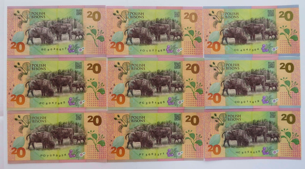 PWPW Żubry 9 szt. - Potęga Podłoża Angielski